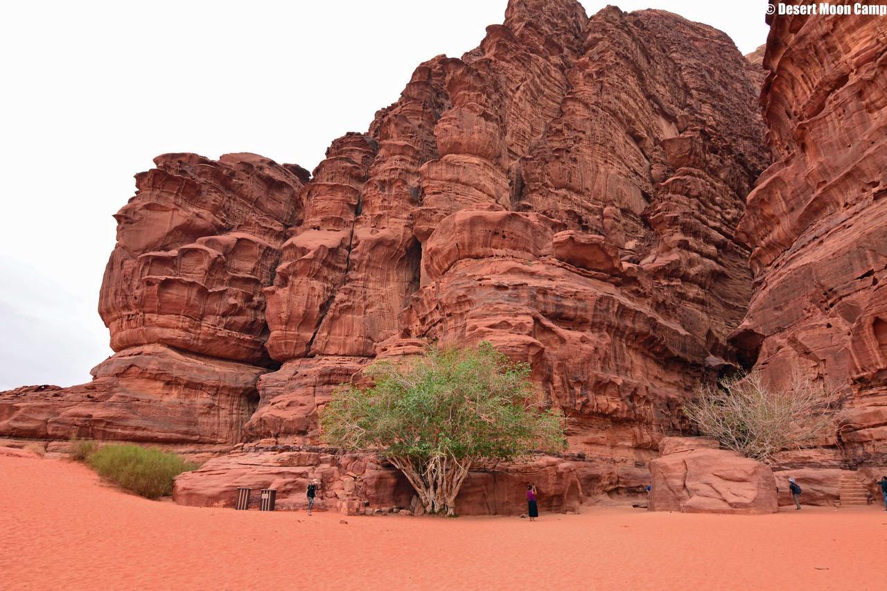 Desert Moon Camp ワディ ・ラム エクステリア 写真